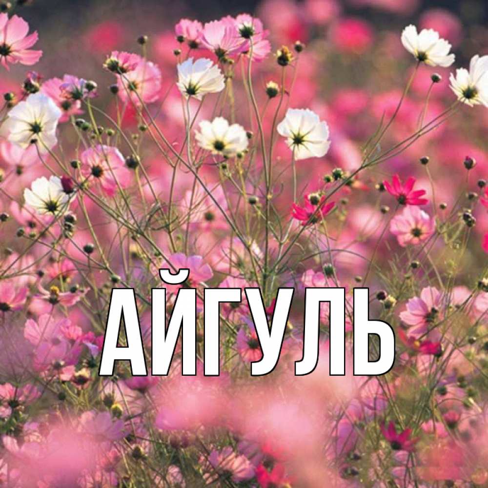 Открытка на каждый день с именем, Айгуль Главная красиво 1 Прикольная открытка с пожеланием онлайн скачать бесплатно 