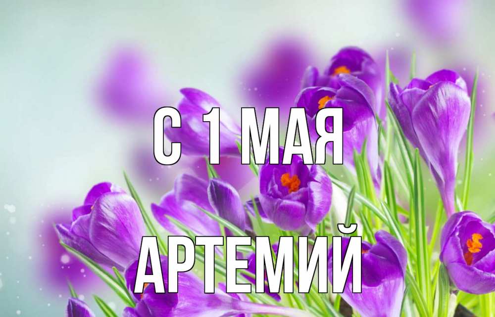 Открытка на каждый день с именем, Артемий С 1 мая 1 мая Прикольная открытка с пожеланием онлайн скачать бесплатно 