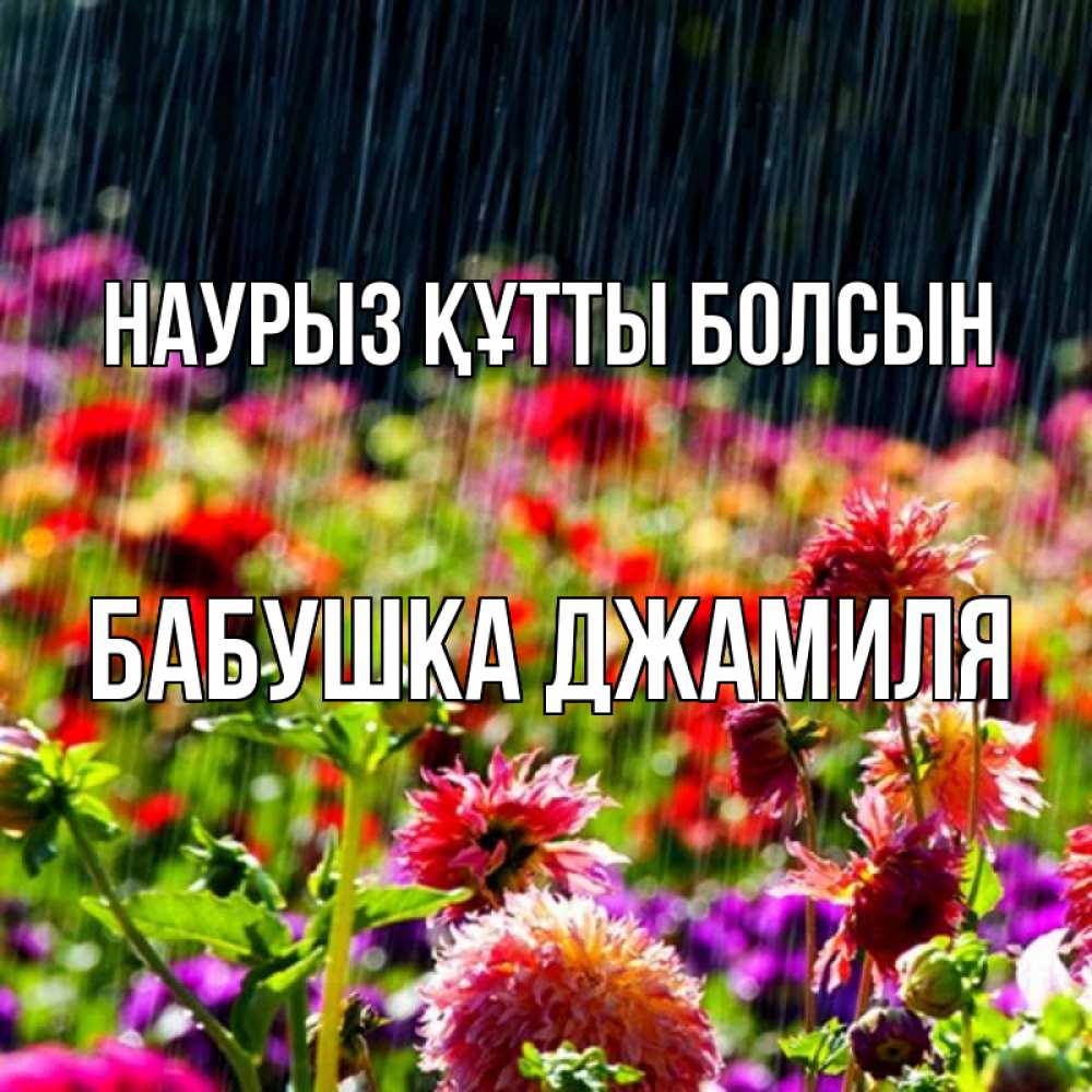Открытка на каждый день с именем, Бабушка-Джамиля Наурыз құтты болсын цветы под дождиком к наурызу Прикольная открытка с пожеланием онлайн скачать бесплатно 