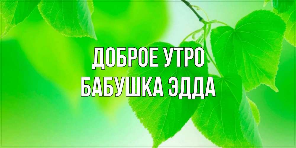 Открытка на каждый день с именем, Бабушка-Эдда Доброе утро доброе утро с березовыми листьями Прикольная открытка с пожеланием онлайн скачать бесплатно 