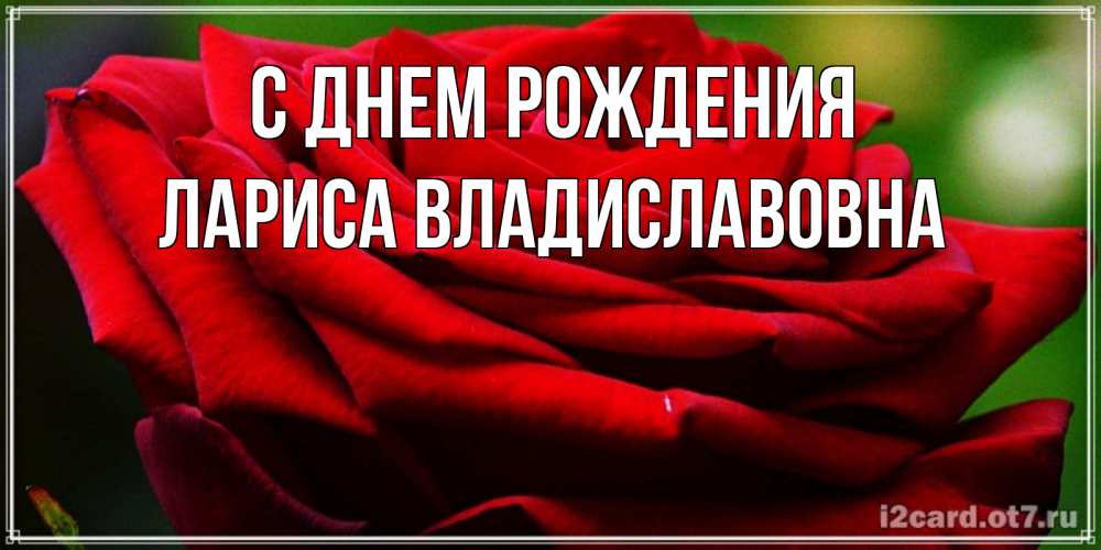 Открытка на каждый день с именем, Лариса-Владиславовна С днем рождения розочка очень красивая Прикольная открытка с пожеланием онлайн скачать бесплатно 