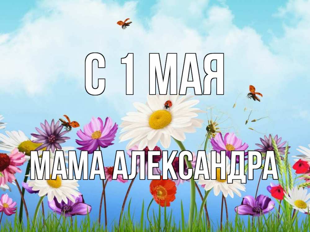 Открытка на каждый день с именем, Мама-Александра С 1 мая С 1 мая Прикольная открытка с пожеланием онлайн скачать бесплатно 