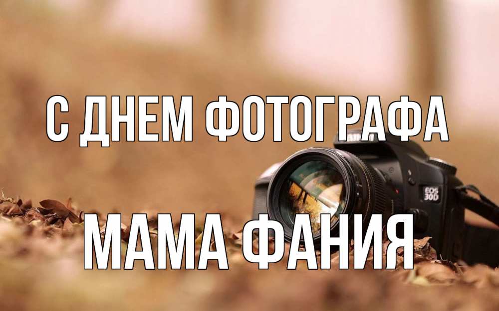 Открытка на каждый день с именем, Мама-Фания С днем фотографа с днем фотографа Прикольная открытка с пожеланием онлайн скачать бесплатно 