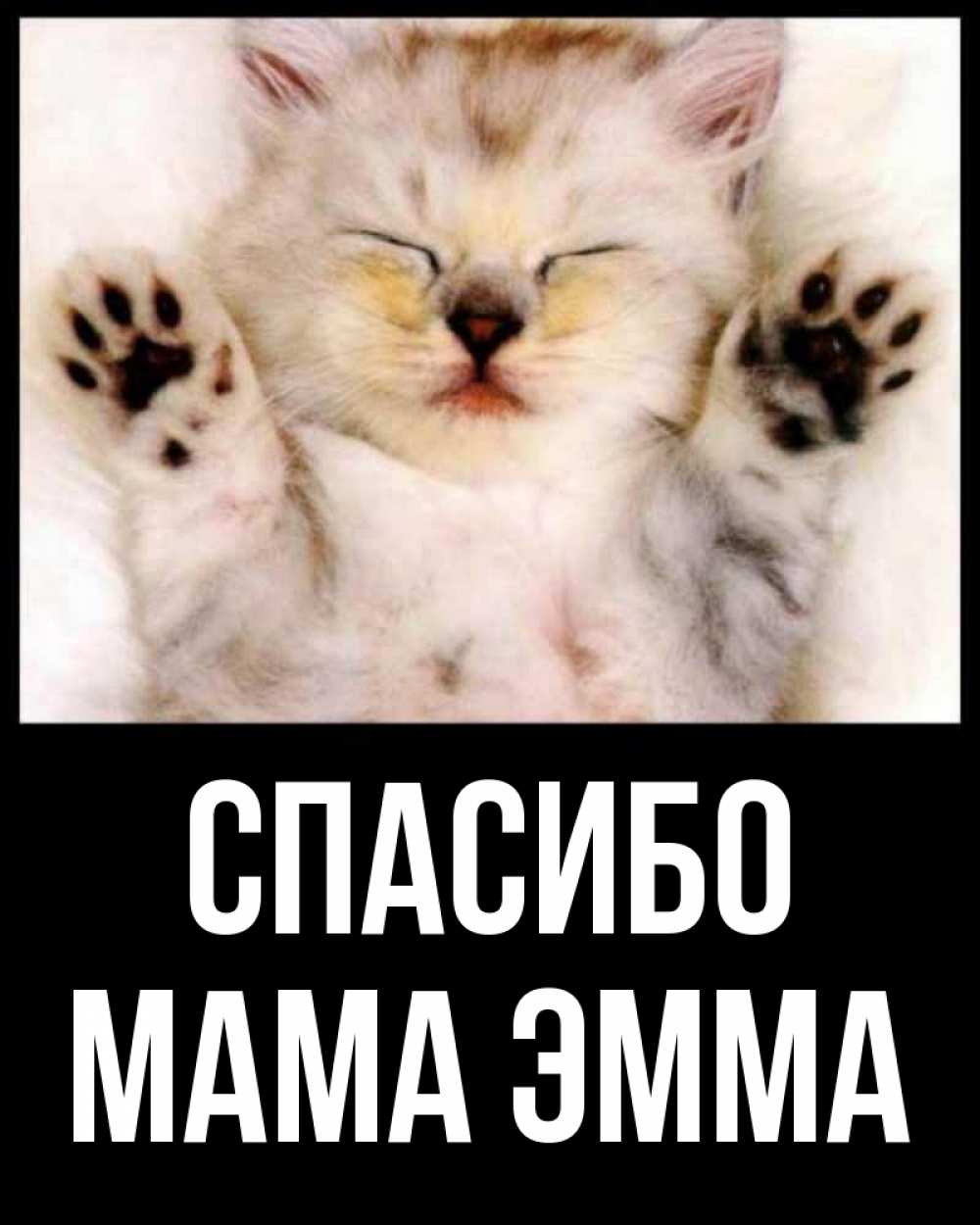 Открытка на каждый день с именем, Мама-Эмма Спасибо маленький котенок Прикольная открытка с пожеланием онлайн скачать бесплатно 