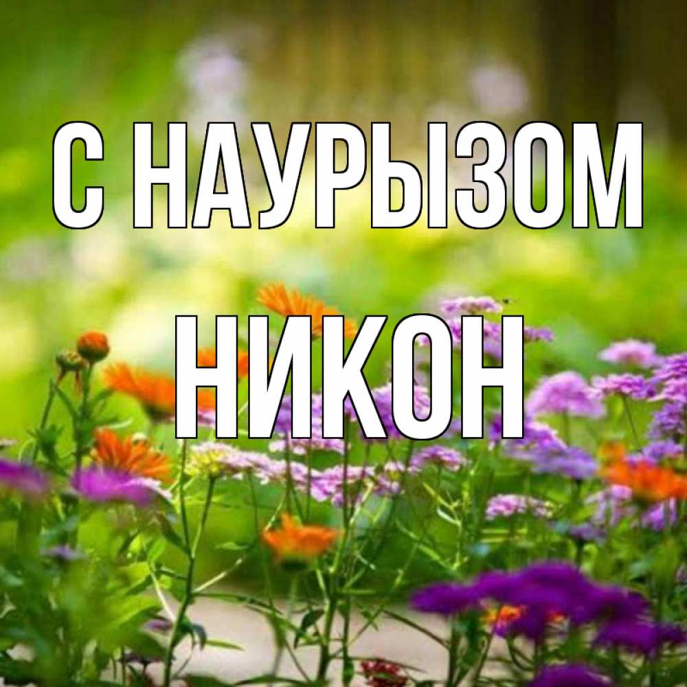 Открытка на каждый день с именем, Никон С наурызом цветы Прикольная открытка с пожеланием онлайн скачать бесплатно 