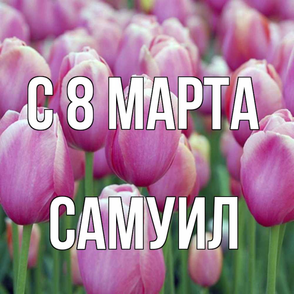 Открытка на каждый день с именем, Самуил С 8 МАРТА на международный женский день 3 Прикольная открытка с пожеланием онлайн скачать бесплатно 