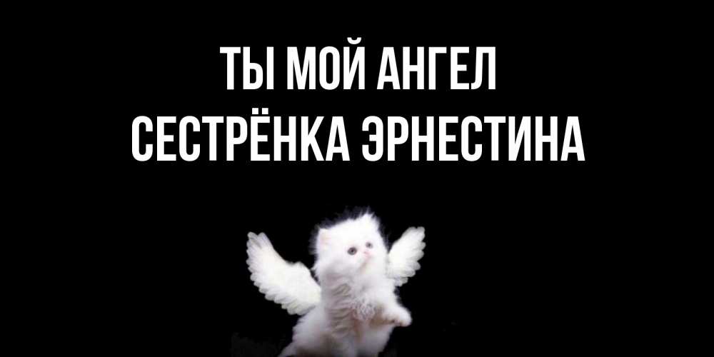 Открытка на каждый день с именем, Сестрёнка-Эрнестина Ты мой ангел Кот ангел Прикольная открытка с пожеланием онлайн скачать бесплатно 