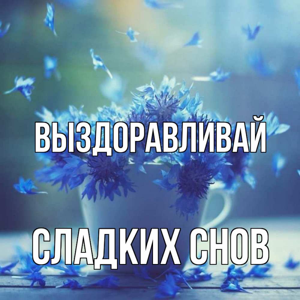 Открытка на каждый день с именем, Сладких-снов Выздоравливай кружка с зельем и цветами Прикольная открытка с пожеланием онлайн скачать бесплатно 