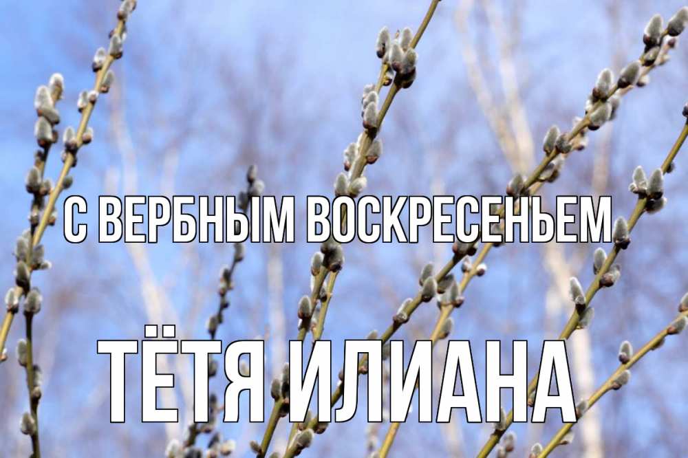 Открытка на каждый день с именем, Тётя-Илиана С вербным воскресеньем верба Прикольная открытка с пожеланием онлайн скачать бесплатно 