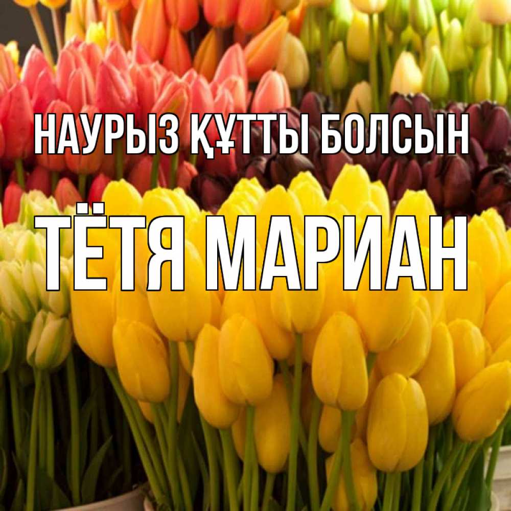 Открытка на каждый день с именем, Тётя-Мариан Наурыз құтты болсын цветы Прикольная открытка с пожеланием онлайн скачать бесплатно 