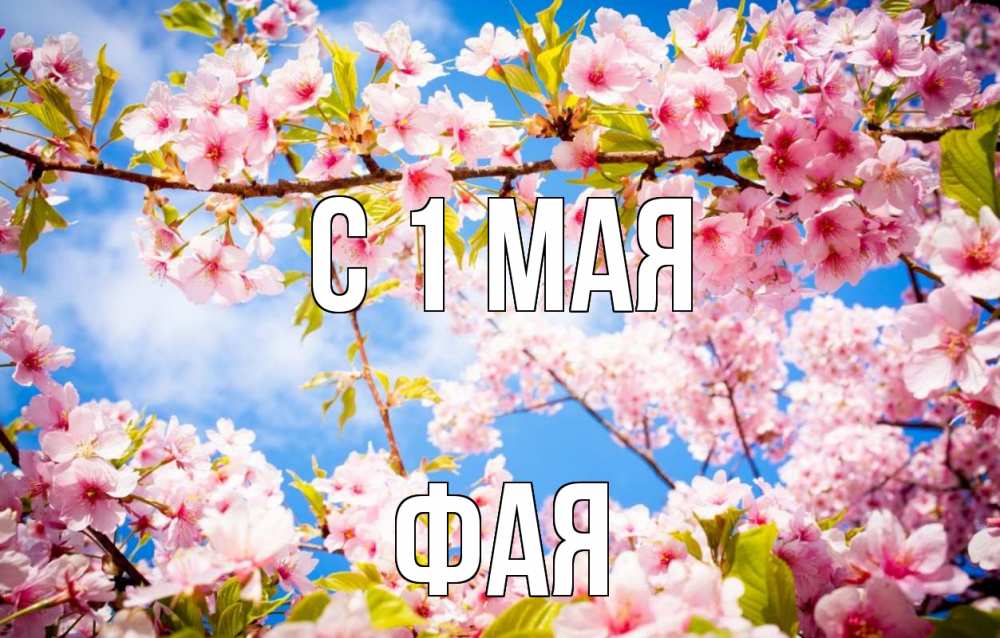 Открытка на каждый день с именем, Фая С 1 мая С 1 мая Прикольная открытка с пожеланием онлайн скачать бесплатно 