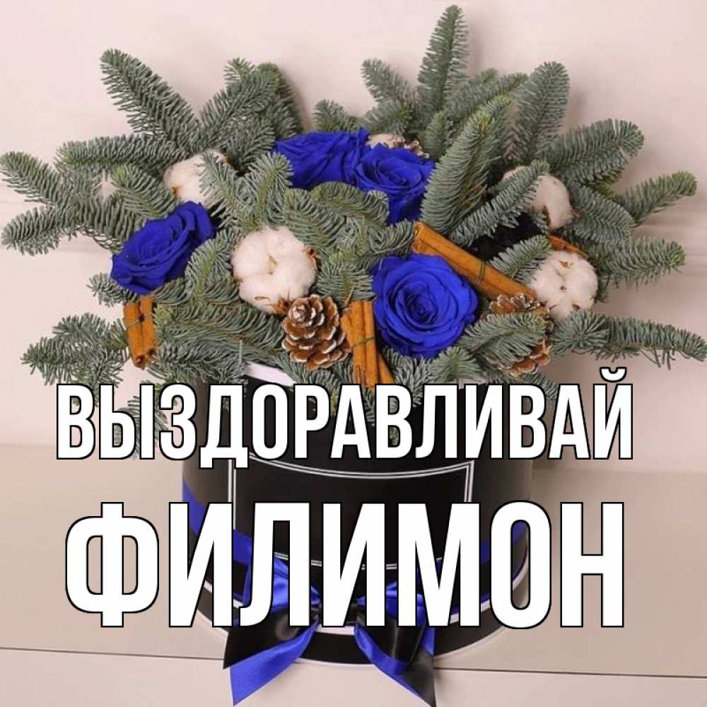 Открытка на каждый день с именем, Филимон Выздоравливай короче кто то загрузил эти шишки Прикольная открытка с пожеланием онлайн скачать бесплатно 