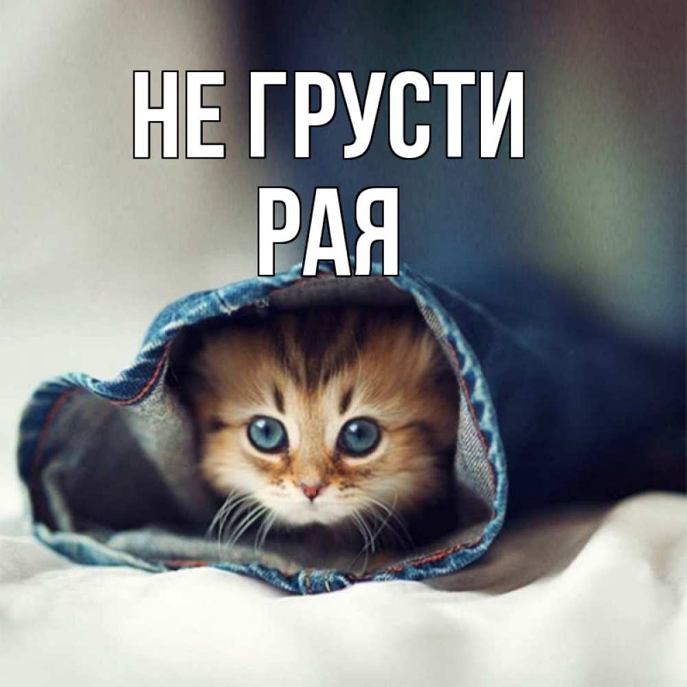 Не грусти и не переживай открытка