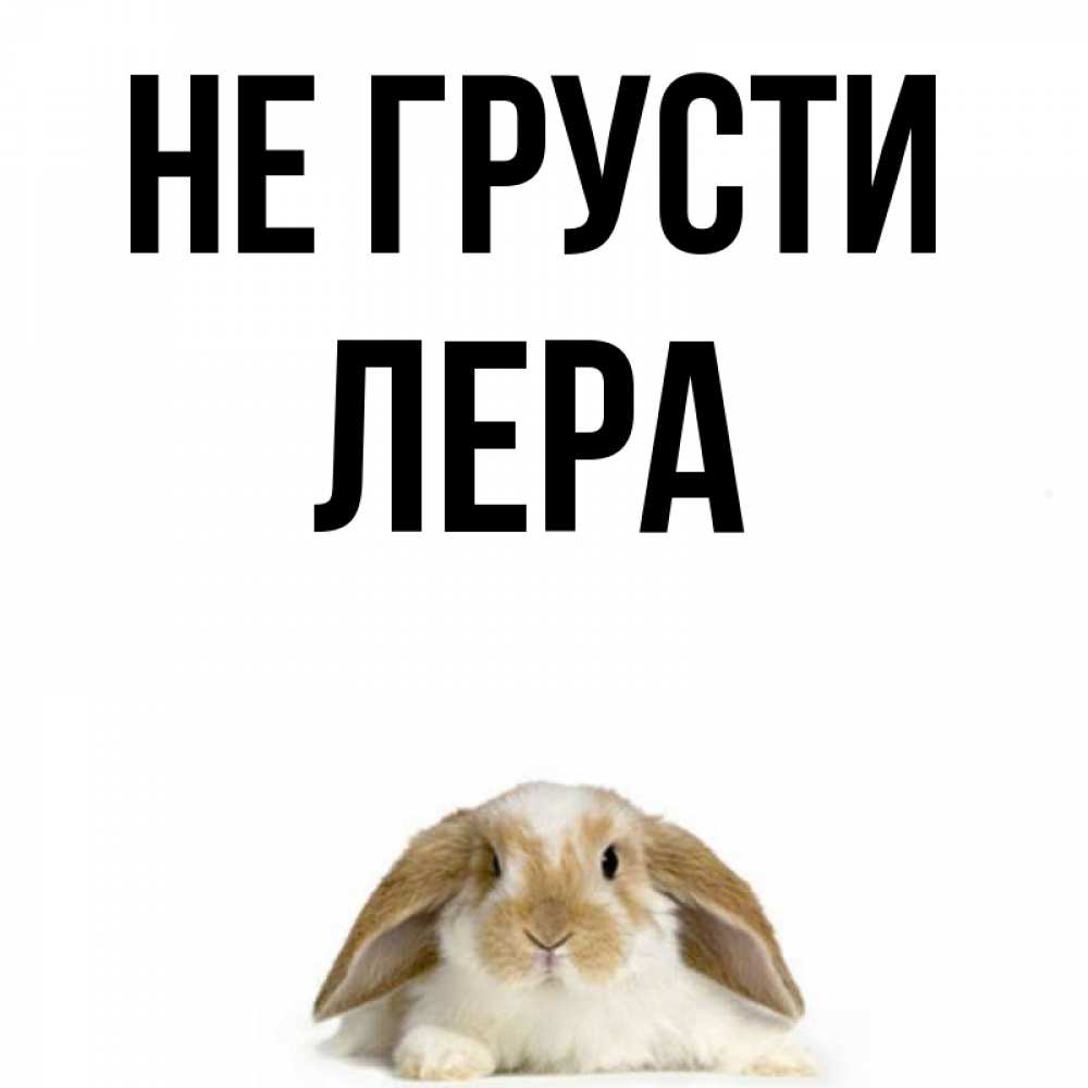 Не Грусти Пожалуйста Картинки