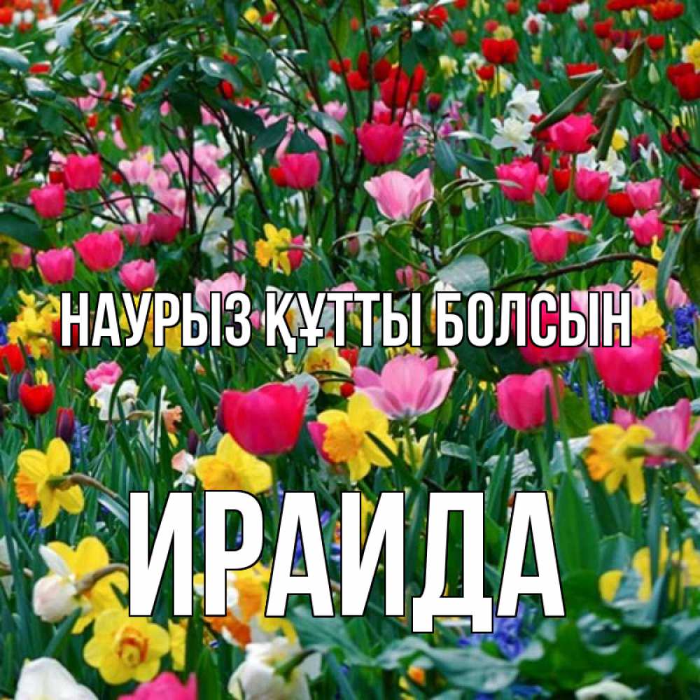 Открытка на каждый день с именем, Ираида Наурыз құтты болсын с наурызом поздравления для женщины Прикольная открытка с пожеланием онлайн скачать бесплатно 