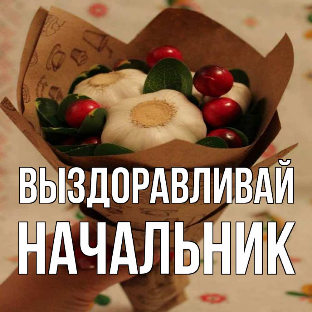 Выздоравливай шеф картинки