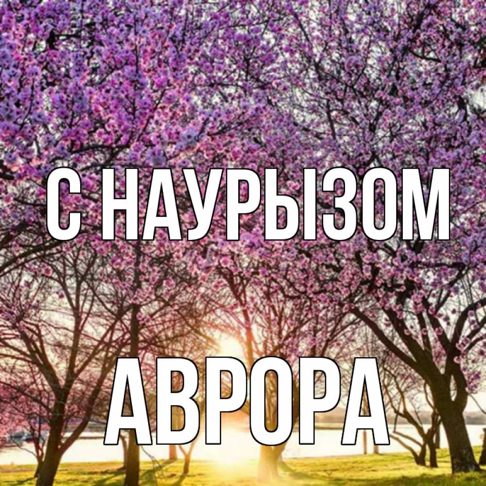 Открытка на каждый день с именем, Аврора С наурызом праздник весны наурыз Прикольная открытка с пожеланием онлайн скачать бесплатно 