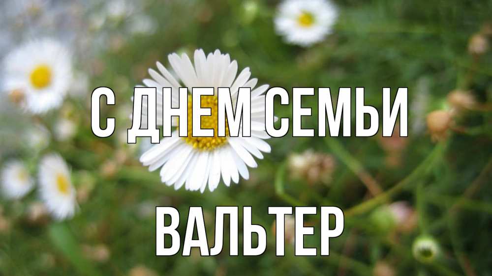 Открытка на каждый день с именем, Вальтер С днем семьи с днем семьи Прикольная открытка с пожеланием онлайн скачать бесплатно 