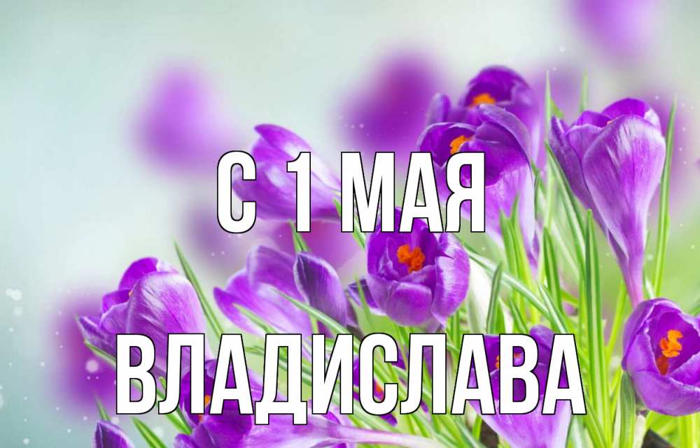 Открытка на каждый день с именем, Владислава С 1 мая 1 мая Прикольная открытка с пожеланием онлайн скачать бесплатно 