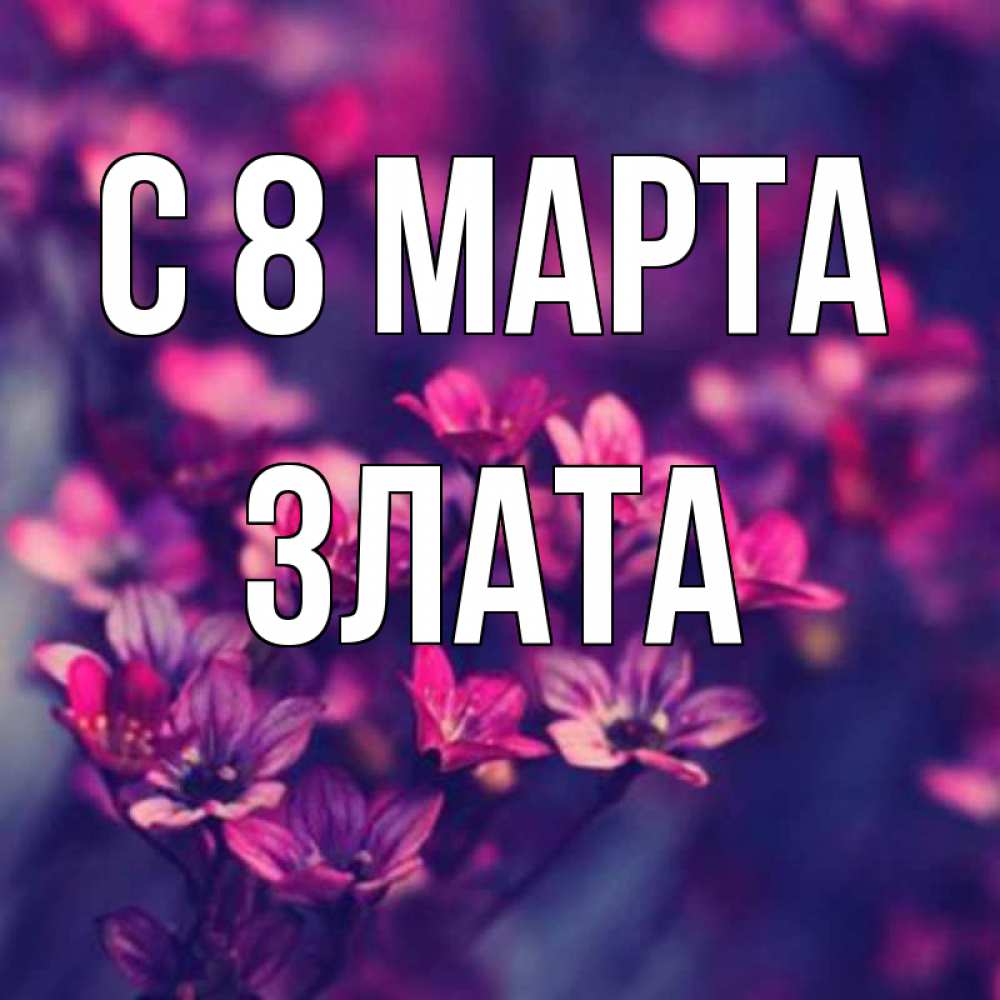 Открытка на каждый день с именем, Злата С 8 МАРТА небольшие цветы 1 Прикольная открытка с пожеланием онлайн скачать бесплатно 