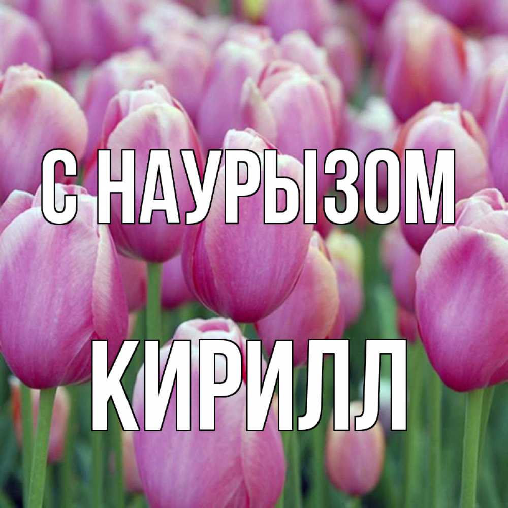 Открытка на каждый день с именем, Кирилл С наурызом праздник весны наурыз 69 Прикольная открытка с пожеланием онлайн скачать бесплатно 