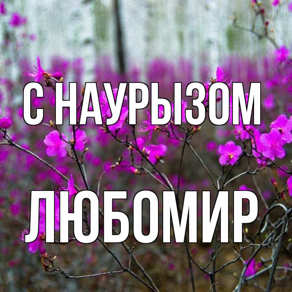 Открытка на каждый день с именем, Любомир С наурызом дикие цветы Прикольная открытка с пожеланием онлайн скачать бесплатно 