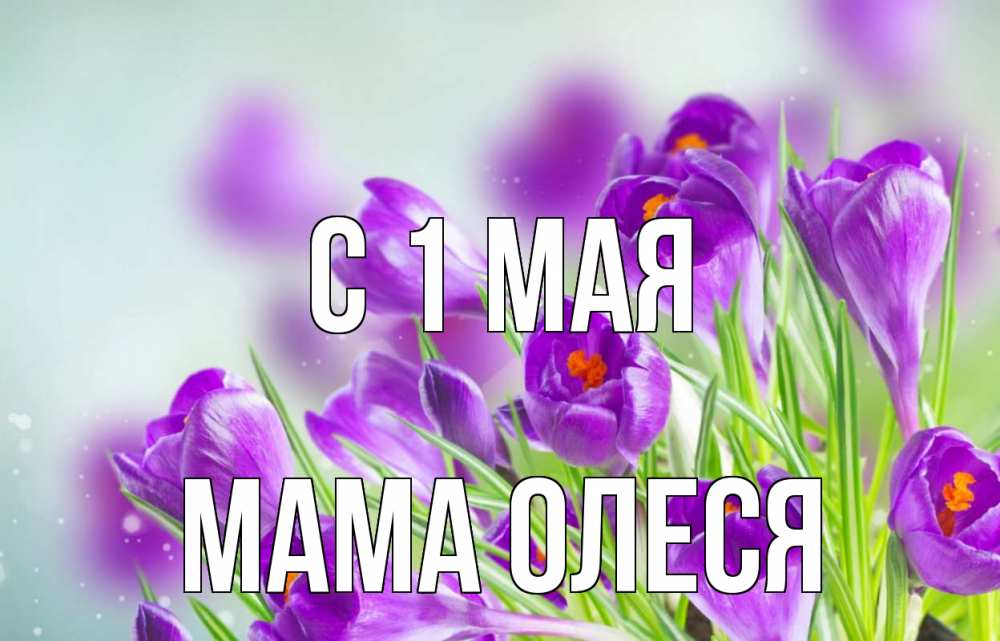 Открытка на каждый день с именем, Мама-Олеся С 1 мая 1 мая Прикольная открытка с пожеланием онлайн скачать бесплатно 