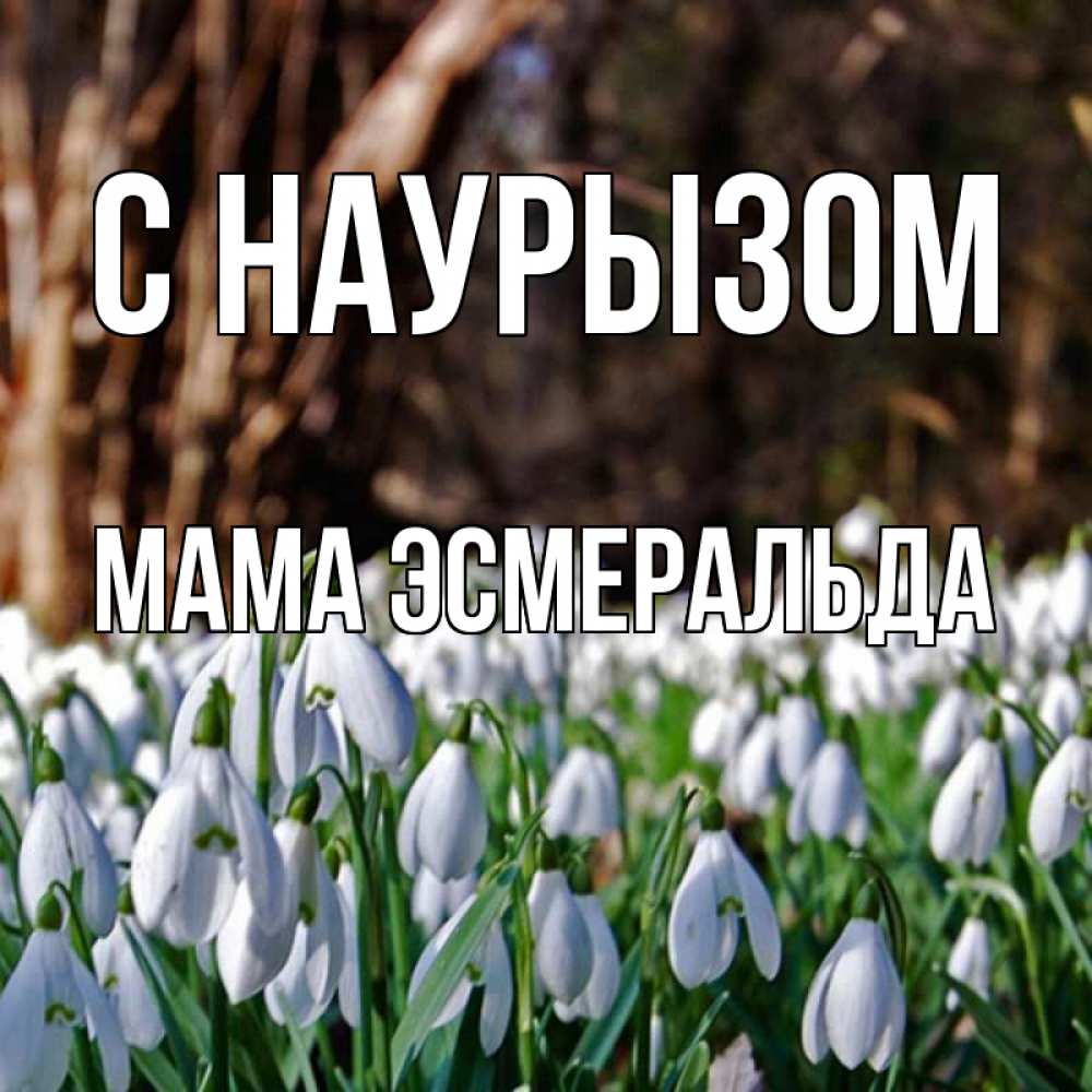 Открытка на каждый день с именем, Мама-Эсмеральда С наурызом с подснежниками 1 Прикольная открытка с пожеланием онлайн скачать бесплатно 