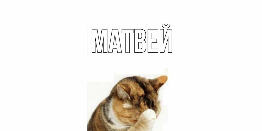 Открытка на каждый день с именем, Матвей Главная кот Прикольная открытка с пожеланием онлайн скачать бесплатно 