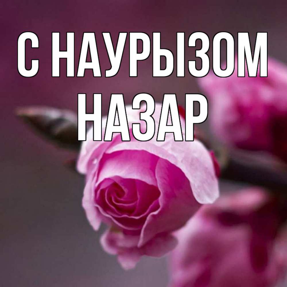 Открытка на каждый день с именем, Назар С наурызом весна Прикольная открытка с пожеланием онлайн скачать бесплатно 