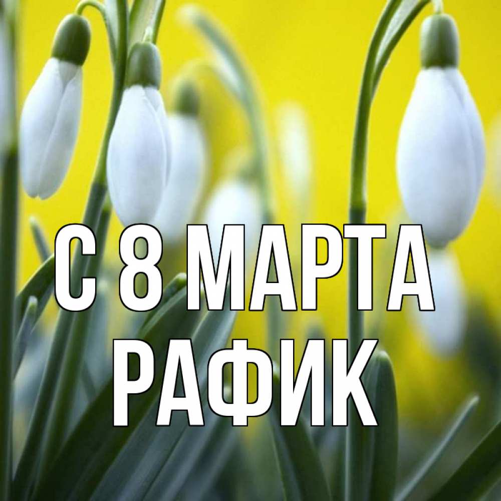 Открытка на каждый день с именем, Рафик С 8 МАРТА весенние цветы Прикольная открытка с пожеланием онлайн скачать бесплатно 