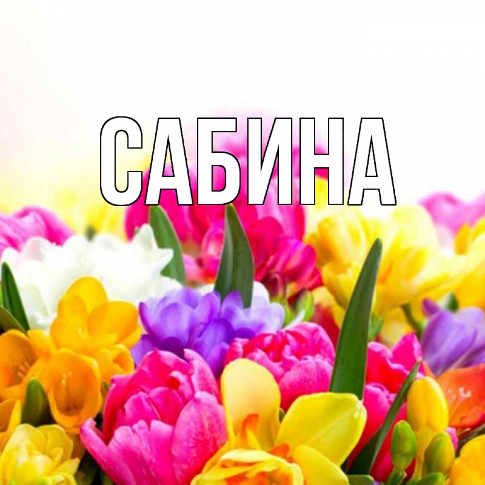 Открытка на каждый день с именем, Сабина Главная создать открытку со свое подписью Прикольная открытка с пожеланием онлайн скачать бесплатно 