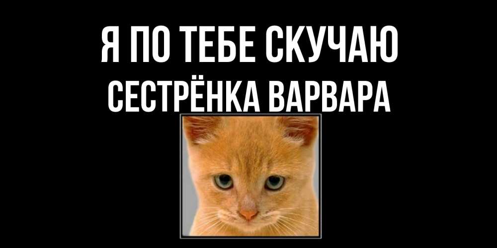 Открытка на каждый день с именем, Сестрёнка-Варвара Я по тебе скучаю открытки рыжий котенок скучает по тебе Прикольная открытка с пожеланием онлайн скачать бесплатно 