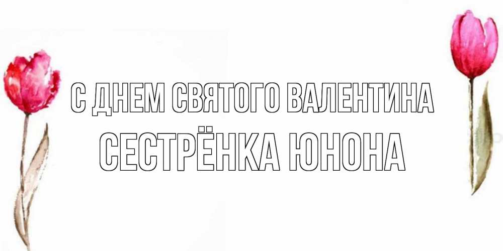 Открытка на каждый день с именем, Сестрёнка-Юнона С днем Святого Валентина Открытки на день всех влюбленных с тюльпанами акварелью Прикольная открытка с пожеланием онлайн скачать бесплатно 