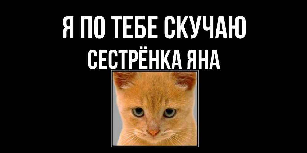 Открытка на каждый день с именем, Сестрёнка-Яна Я по тебе скучаю открытки рыжий котенок скучает по тебе Прикольная открытка с пожеланием онлайн скачать бесплатно 