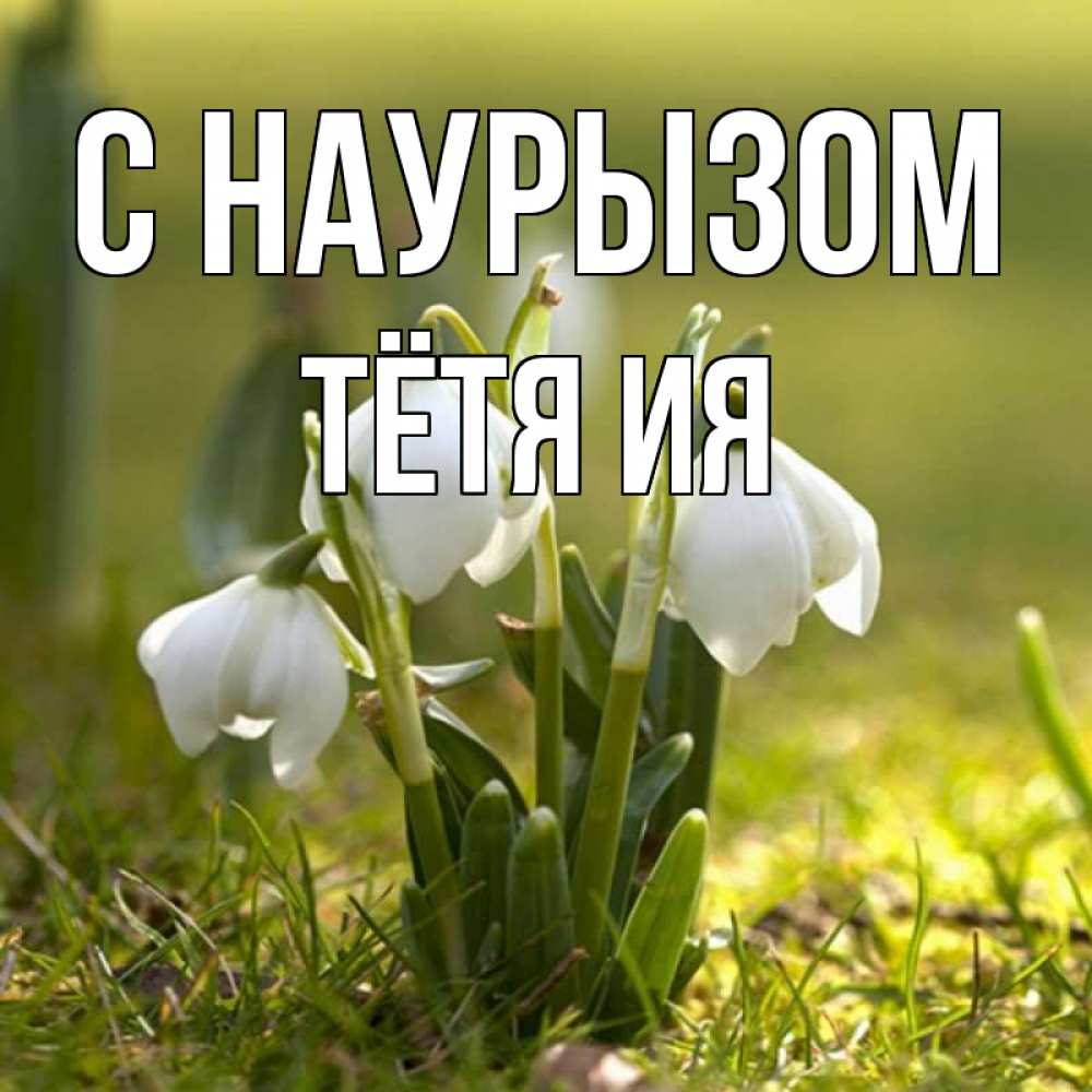 Открытка на каждый день с именем, Тётя-Ия С наурызом ранние цветы 2 Прикольная открытка с пожеланием онлайн скачать бесплатно 