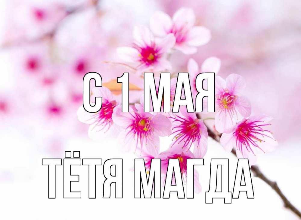 Открытка на каждый день с именем, Тётя-Магда С 1 мая С 1 мая 2 Прикольная открытка с пожеланием онлайн скачать бесплатно 