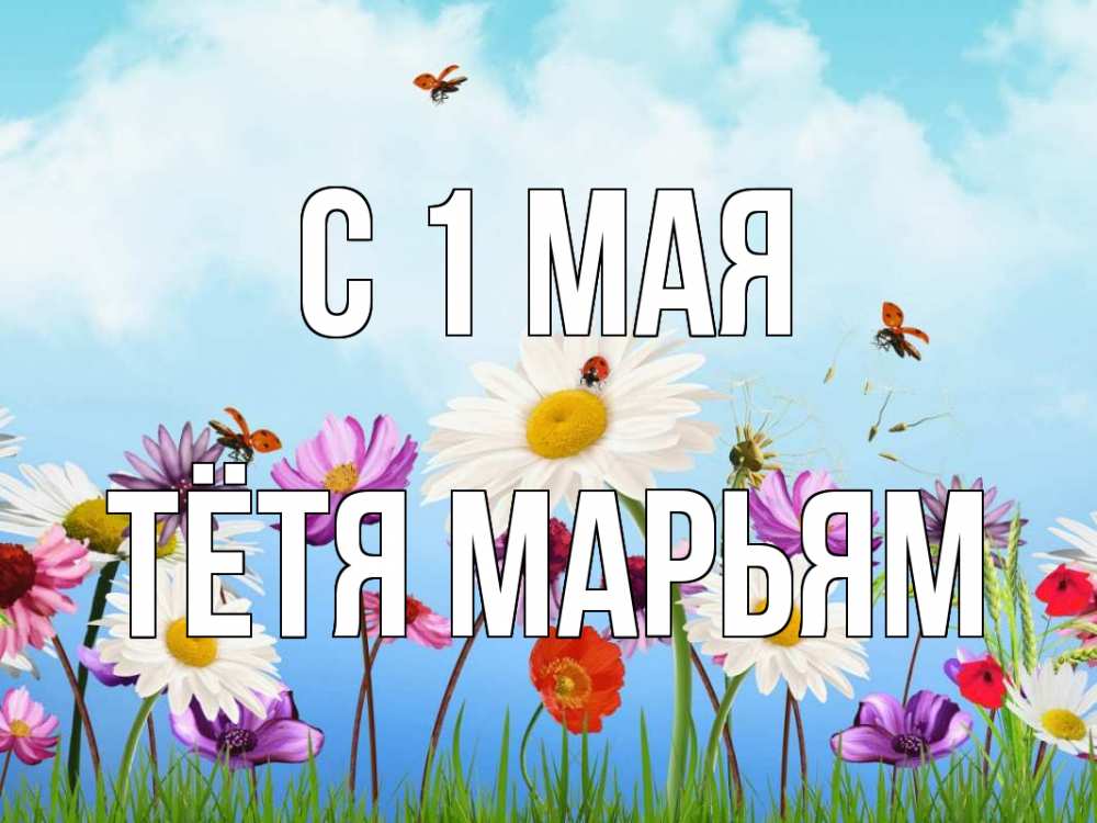 Открытка на каждый день с именем, Тётя-Марьям С 1 мая С 1 мая Прикольная открытка с пожеланием онлайн скачать бесплатно 