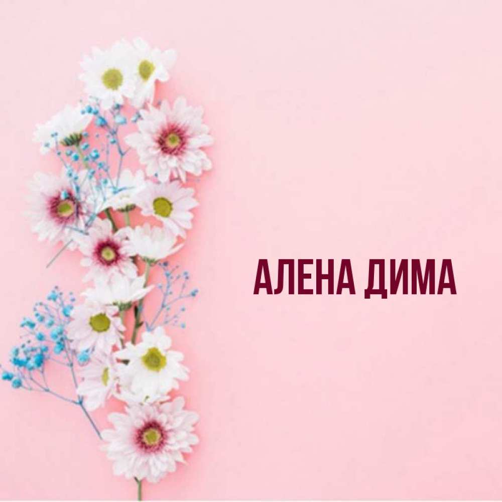 Алена имя картинка