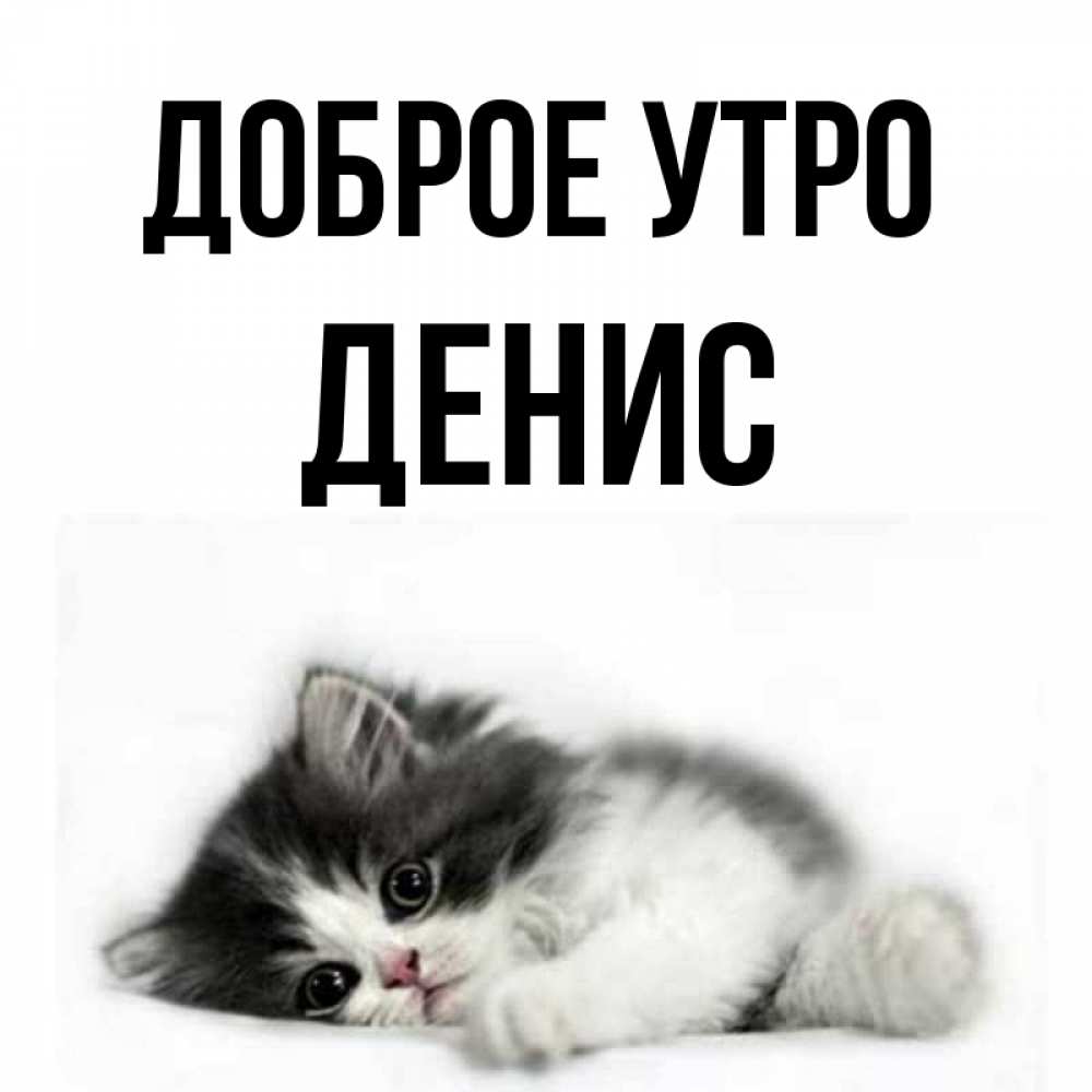 Доброе утро денис картинки прикольные Открытка с именем ДЕНИС Доброе утро картинки. Открытки на каждый день с именами 