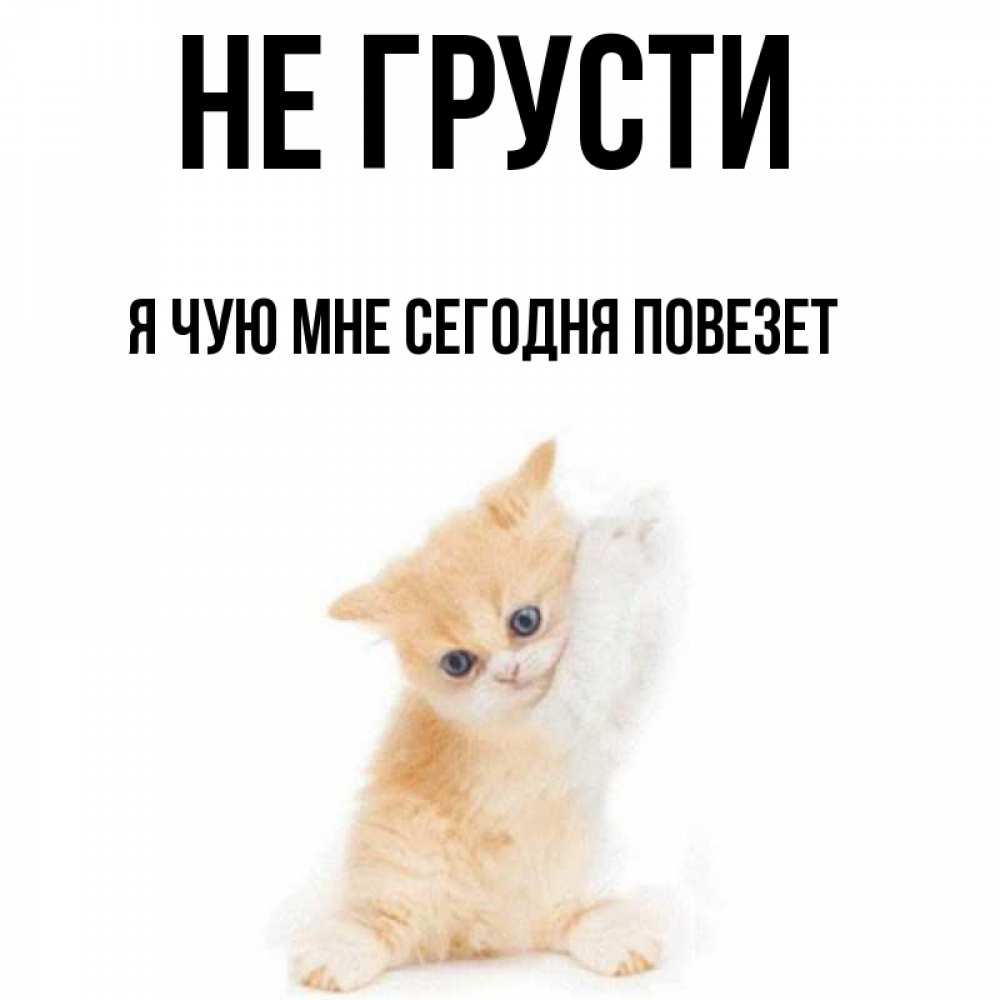 Скажи что мне сегодня повезет