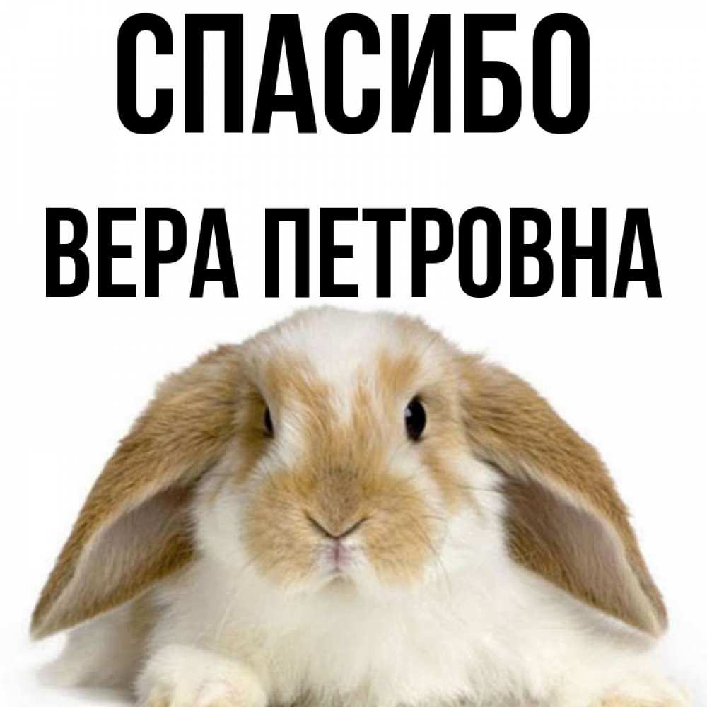 Спасибо Вера