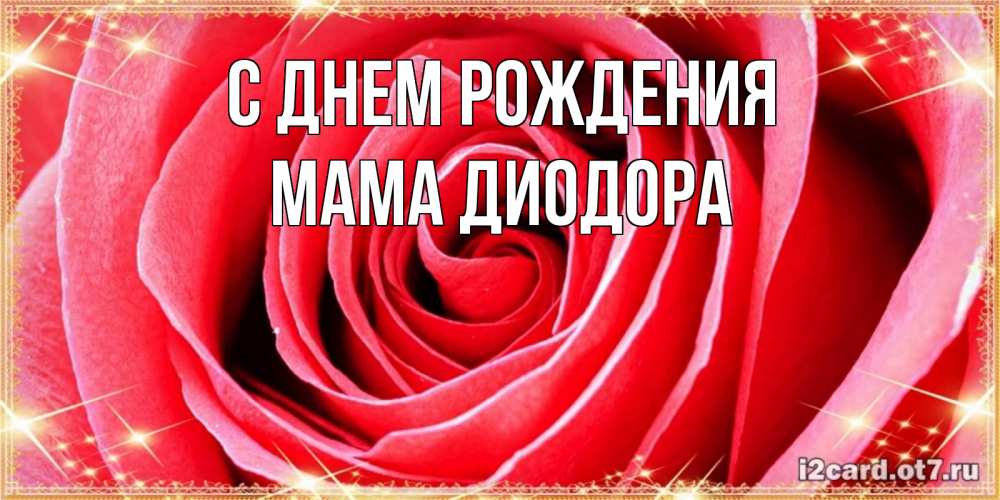 Открытка на каждый день с именем, Мама-Диодора С днем рождения розовая роза очень крупный бутон Прикольная открытка с пожеланием онлайн скачать бесплатно 