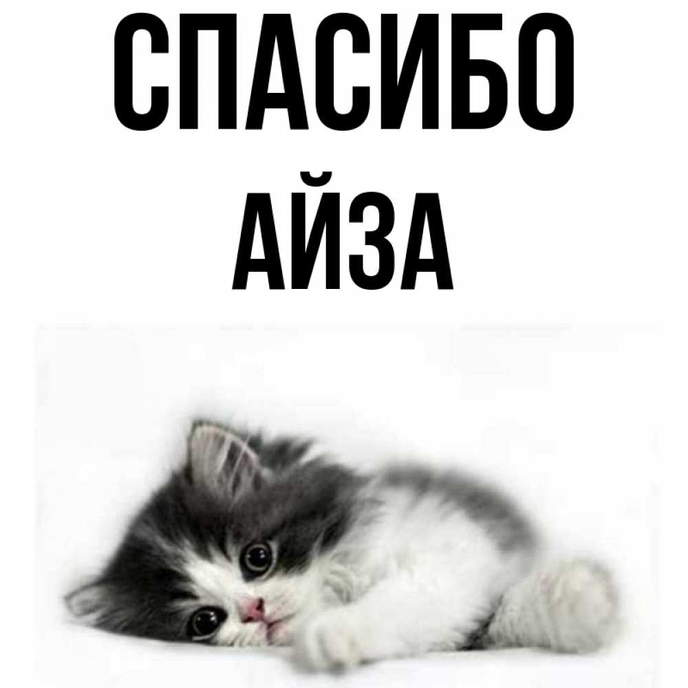 что означает имя айза