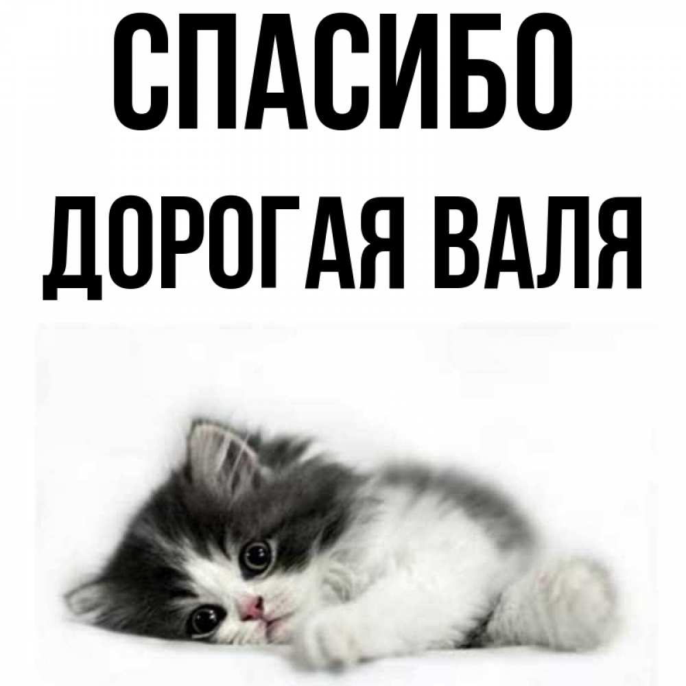 Прикольные картинки про валю
