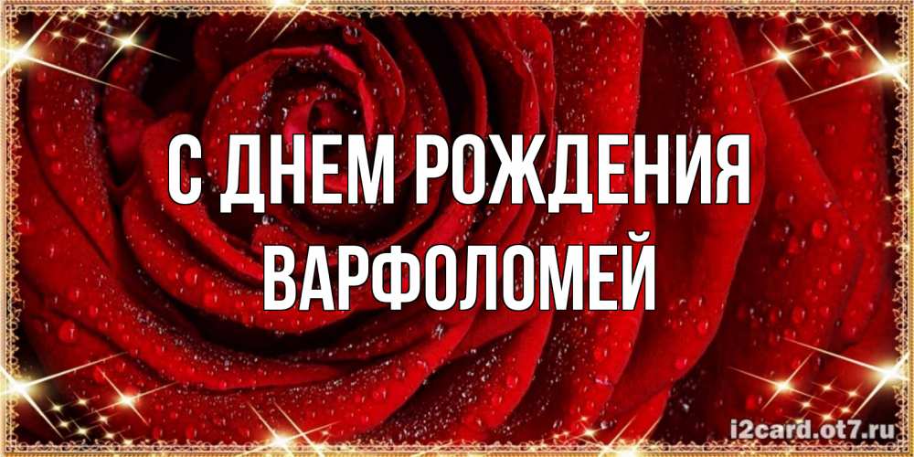 Открытка на каждый день с именем, Варфоломей С днем рождения роса на розе блестящая в лучах солнца Прикольная открытка с пожеланием онлайн скачать бесплатно 