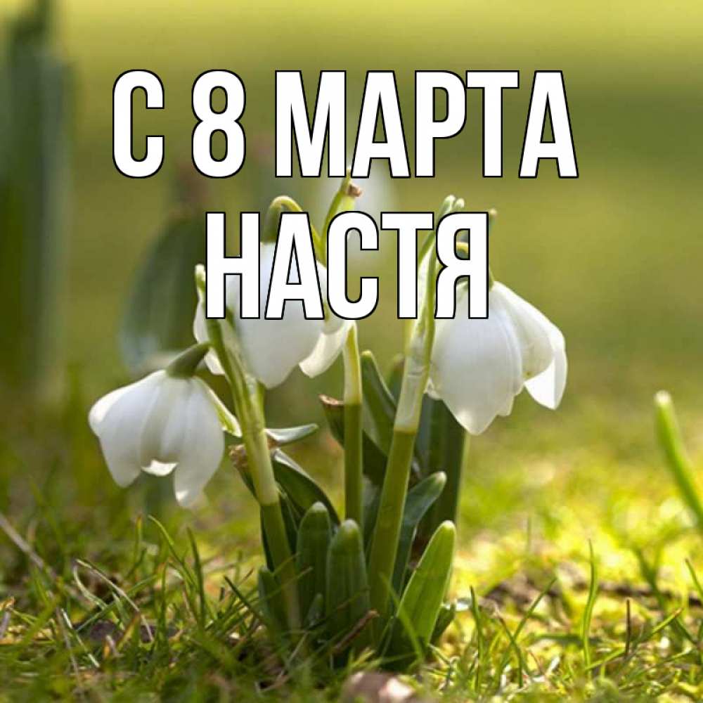 Картинка С 8 МАРТА, Настя