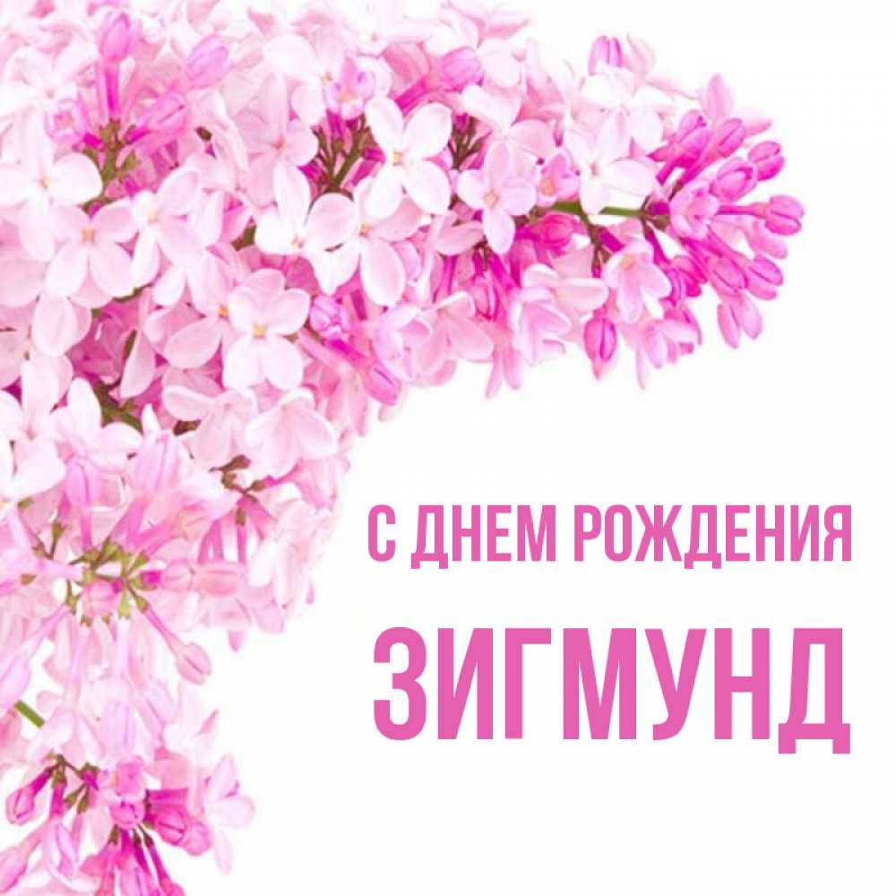 С Днем Рождения Родион Картинки Красивые