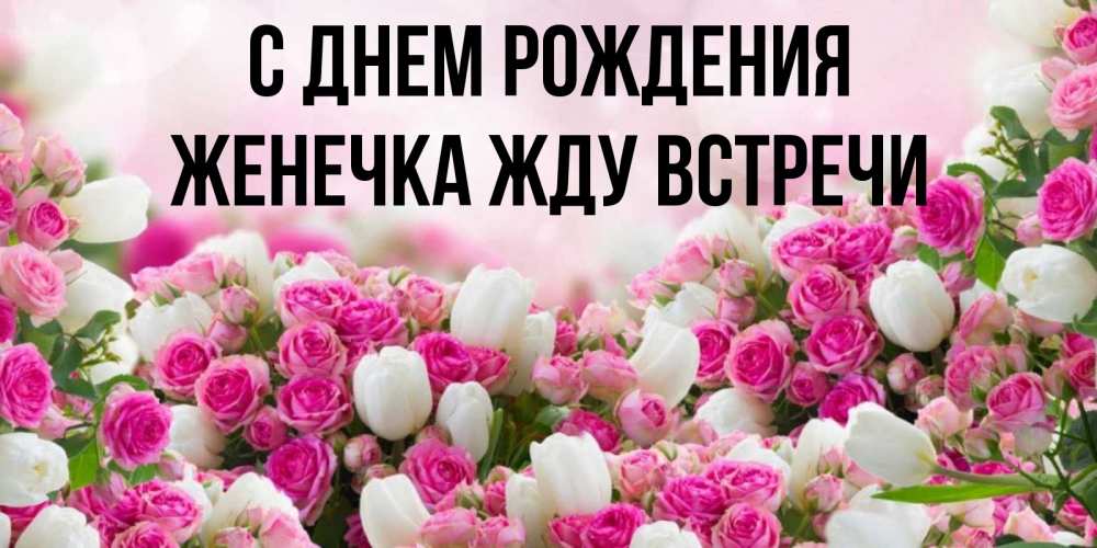 Открытка на каждый день с именем, Женечка-Жду-встречи С днем рождения открытка с разными розами Прикольная открытка с пожеланием онлайн скачать бесплатно 