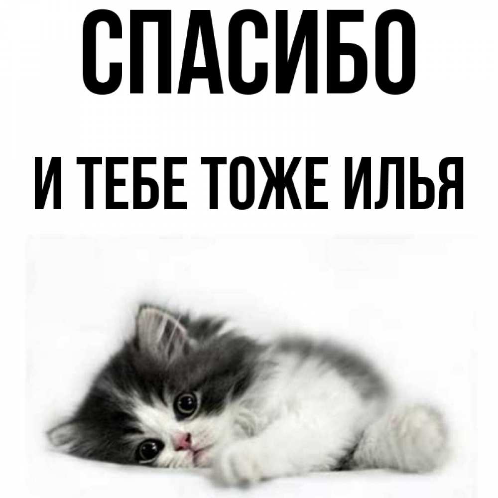Картинка ты тоже